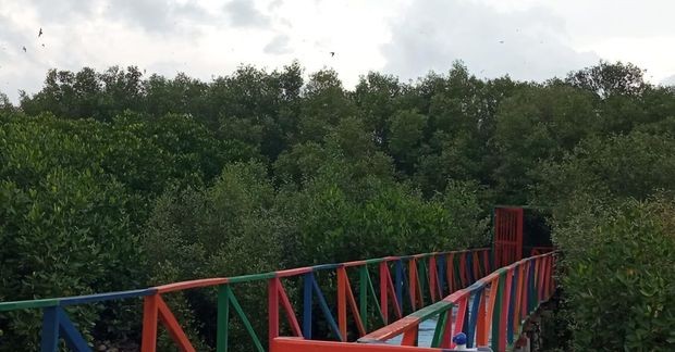 Wisata Dewi Bahari dan Mangrove Kasih Sayang